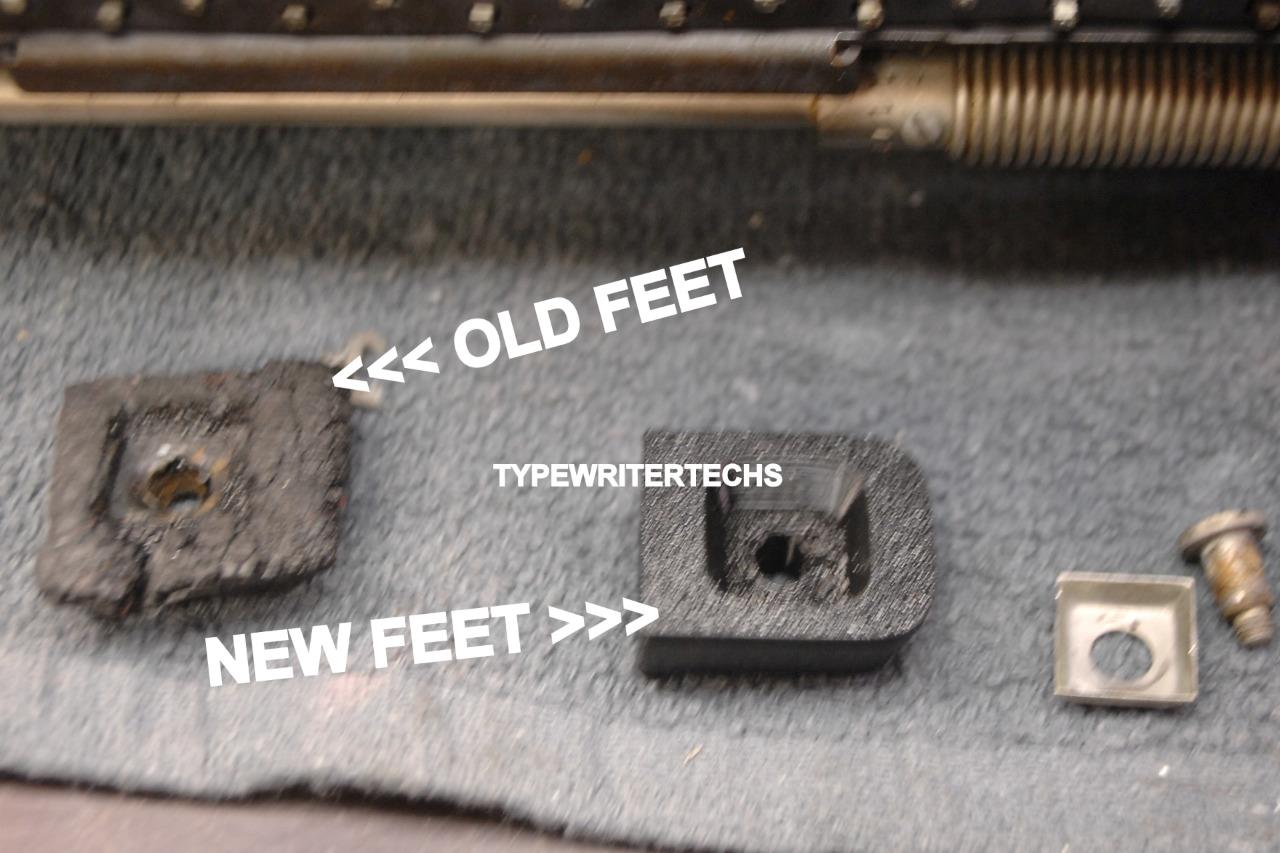 1156037114_o